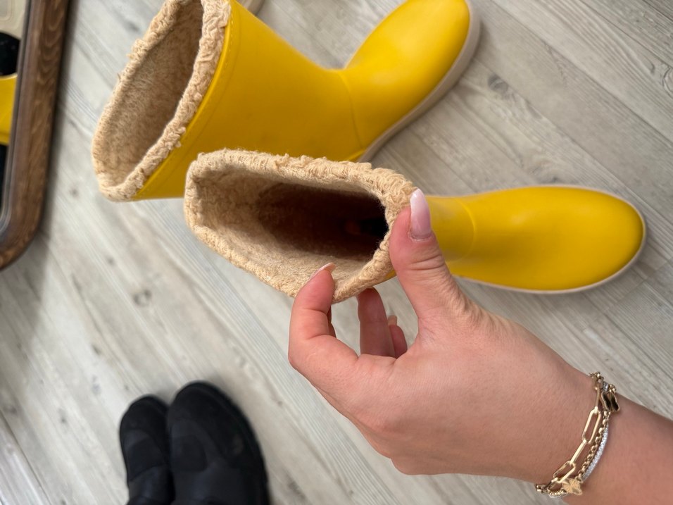 Sarı igor - Görsel 3