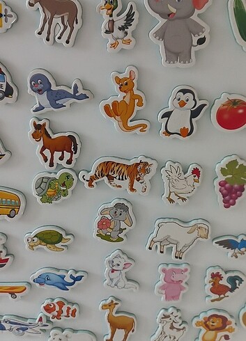 60 parça eğitici magnet