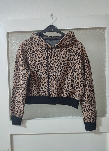 Leopar 