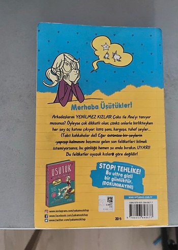 Üsütük Kızın Günlüğü 2 - Anna Cammany - Görsel 2