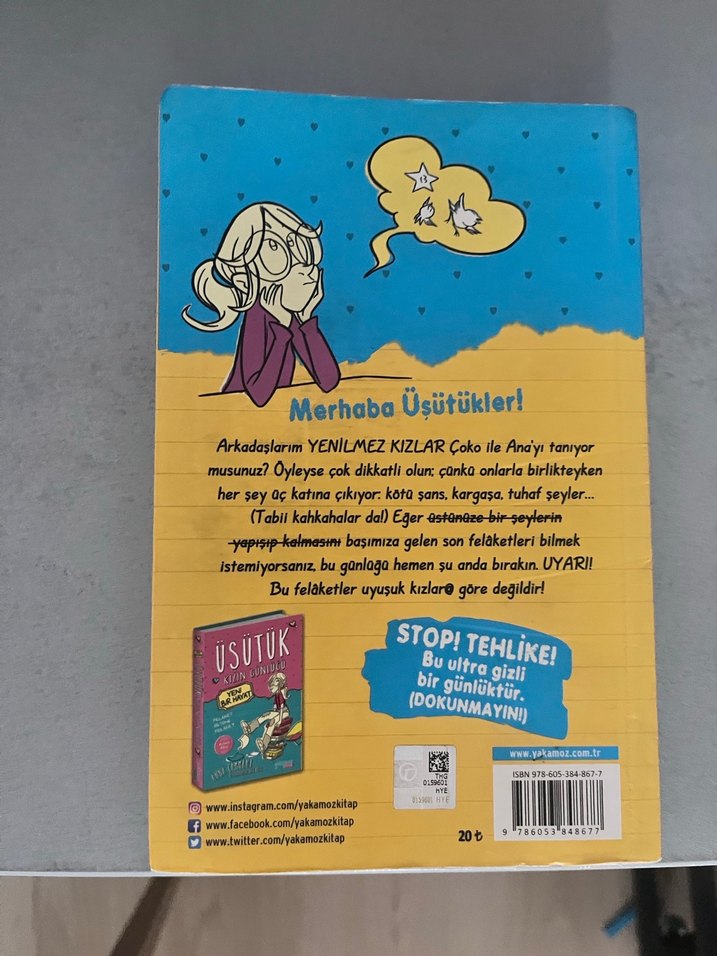 Üsütük Kızın Günlüğü 2 - Anna Cammany - Görsel 2