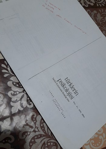 Türklerin Psikolojisi Kitabı