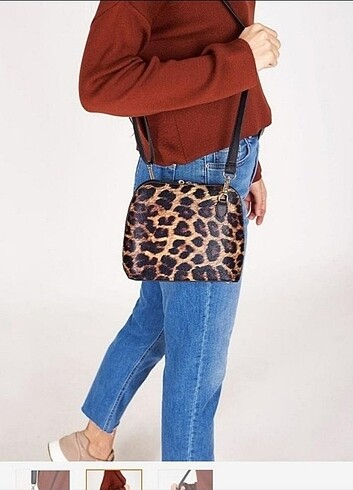Beden Leopar