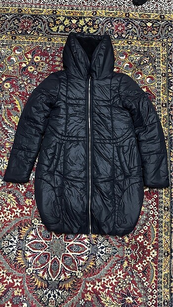 Koton mont
