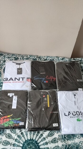 Lacoste, Boss Tommy Hılgfıger, under armour, Gant, 