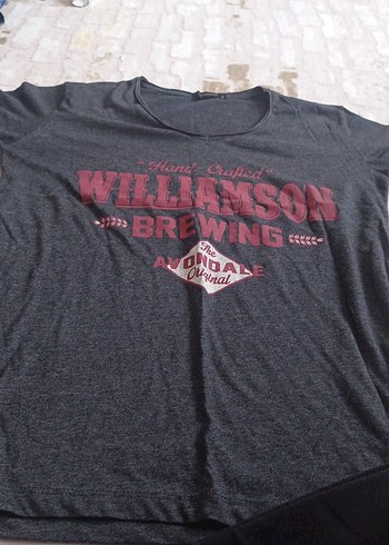 Gri V Yaka Kısa Kollu Baskılı Tişört - Görsel 2