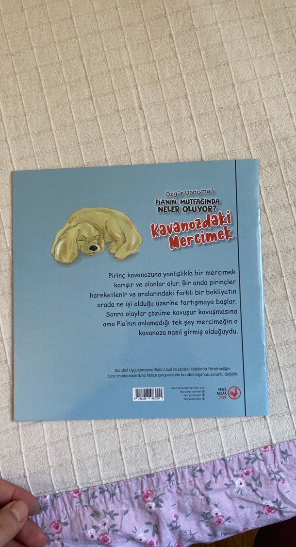 Kavanozdaki Mercimek Çocuk Kitabı - Görsel 2