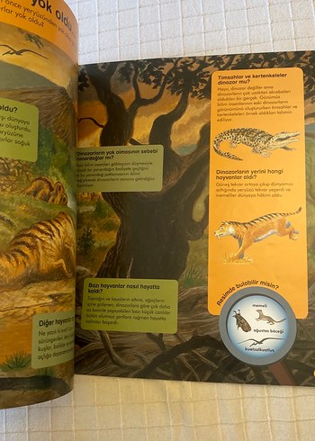 Beden Soru ve Cevaplarla Dinozorlar Çocuk Kitabı
