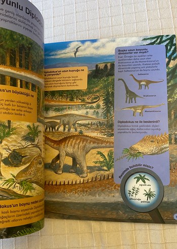 Soru ve Cevaplarla Dinozorlar Çocuk Kitabı - Görsel 5