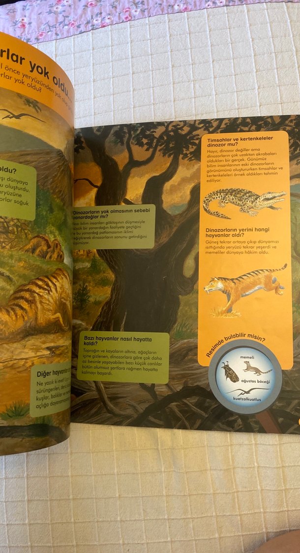 Soru ve Cevaplarla Dinozorlar Çocuk Kitabı - Görsel 3