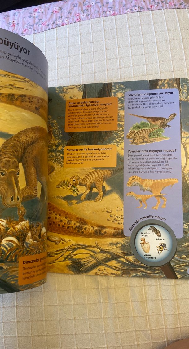 Soru ve Cevaplarla Dinozorlar Çocuk Kitabı - Görsel 4