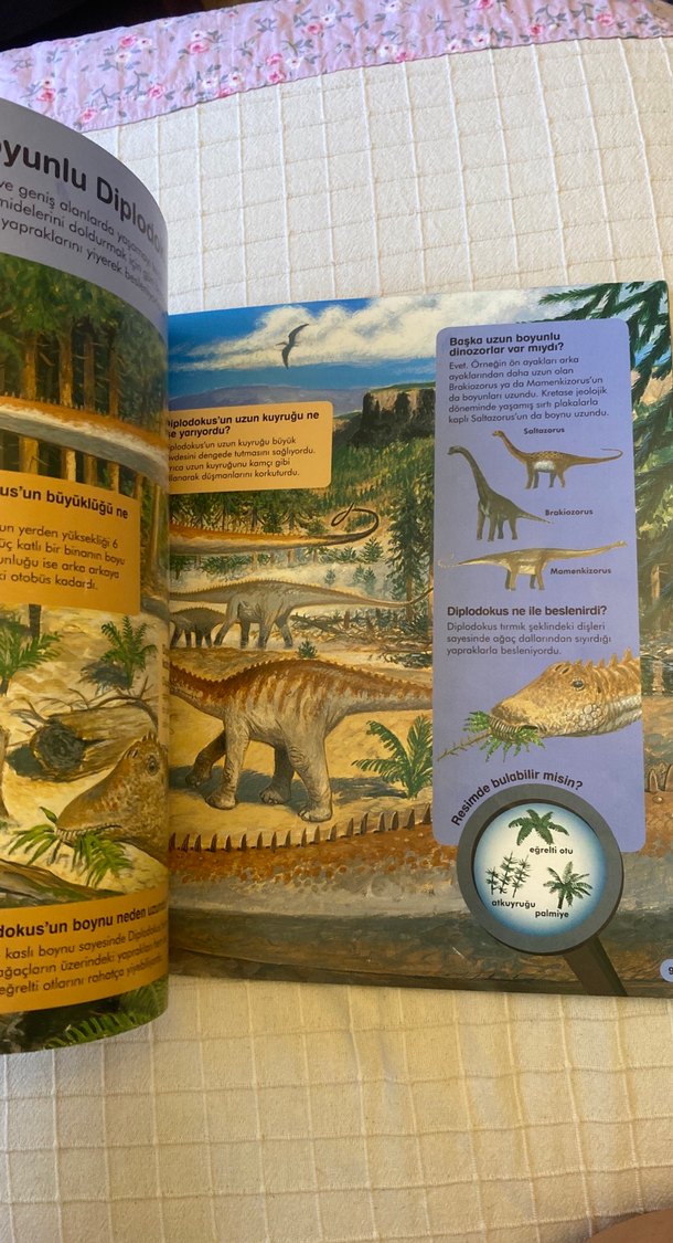 Soru ve Cevaplarla Dinozorlar Çocuk Kitabı - Görsel 5