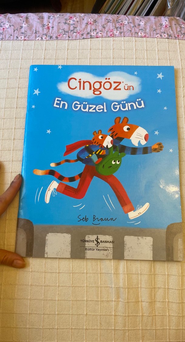 Cingöz'ün En Güzel Günü - Çocuk Kitabı - Görsel 2