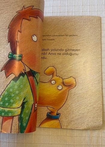 Ters Olan Bir Şeyler Var! Eğlenceli Ara-Bul Kitabı - Görsel 6