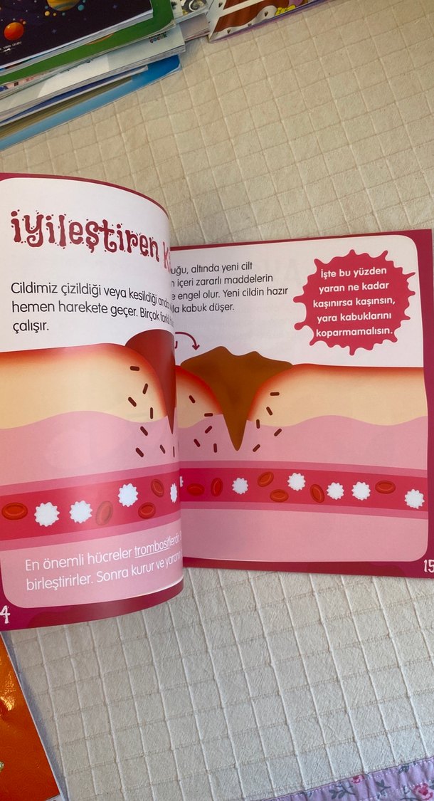 Neden Derim Soyulur? - Eğlenceli Kitap - Görsel 3