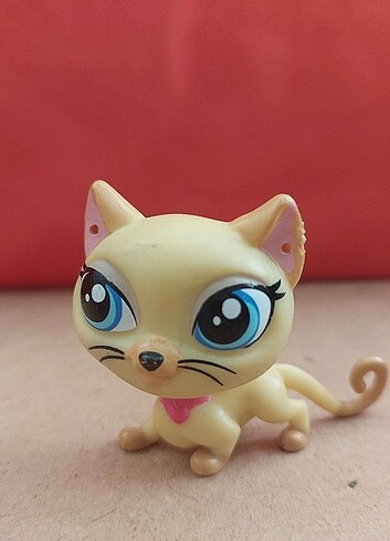 Kedi Miniş