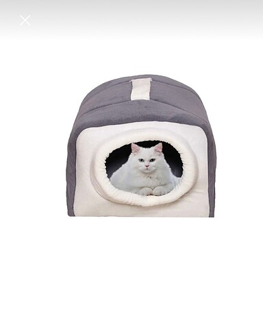 Nerotex kedi yatağı