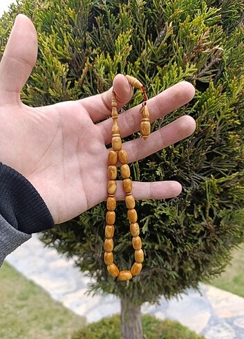 GAZYAGCI MASKOT SARAY KUKASI