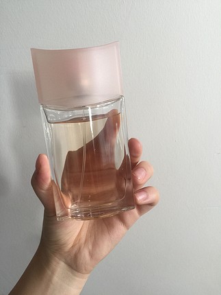 universal Beden pembe Renk Bayan avon parfüm