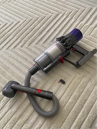 Dyson Evcil Hayvan Başlığı