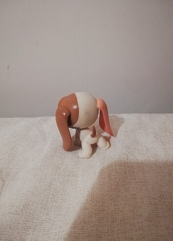 Beden st bernard köpek miniş