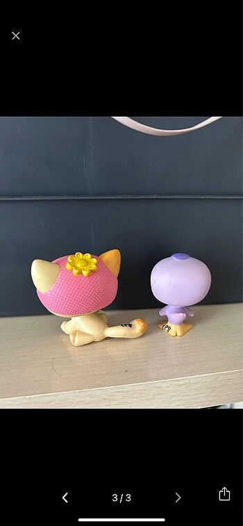 Beden orijinal lps shorthair ve kuş set