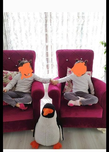 Beden gri Renk Koltuk Takımı