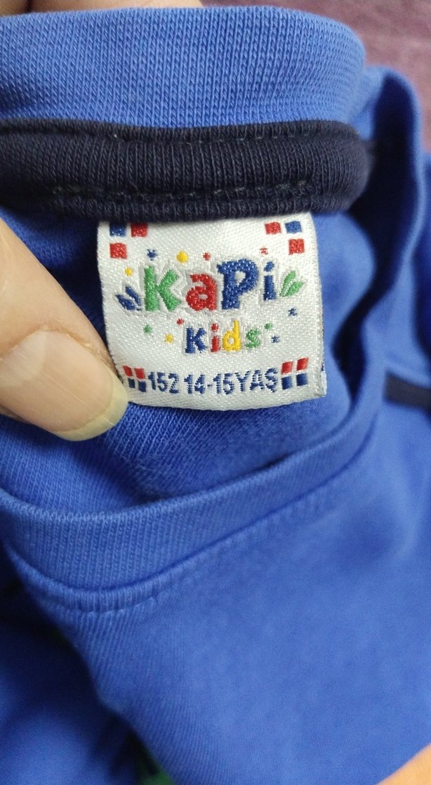 Renkli Baskılı Mavi Erkek Sweatshirt - Görsel 3