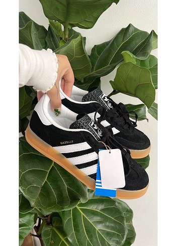 Gazelle black