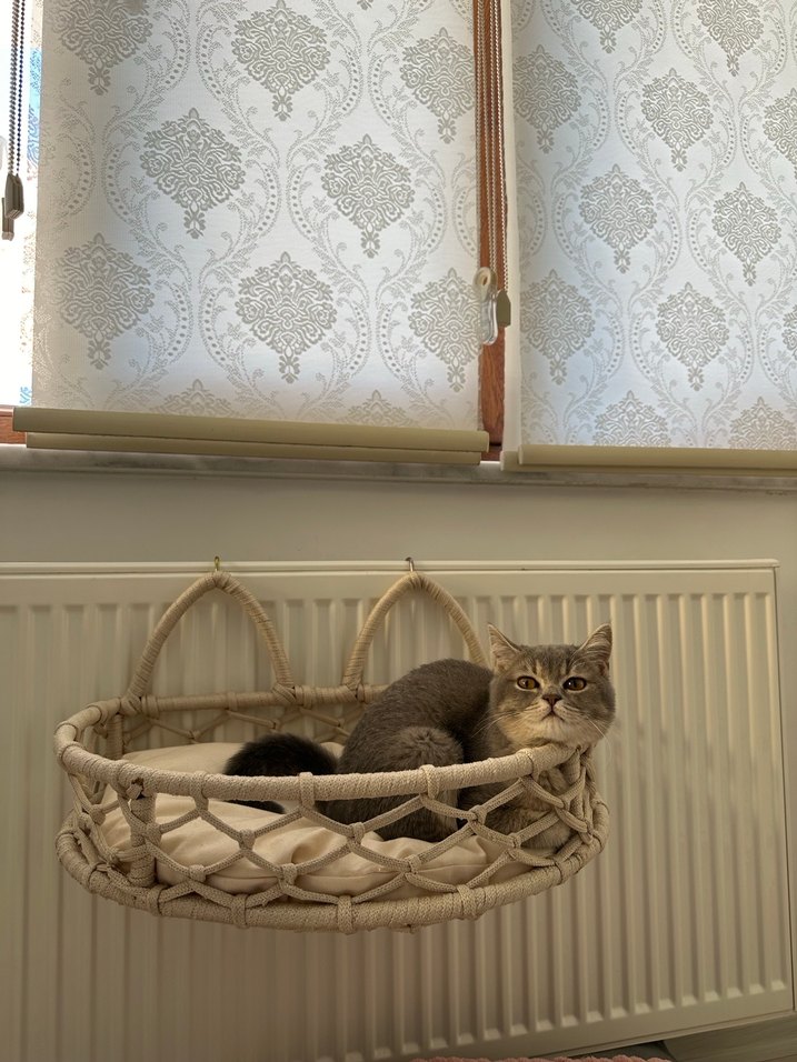 Bej Renkli kalorifer askılı kedi yatağı - Görsel 3