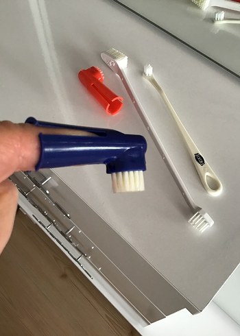 Kedi köpek ağız bakım seti, diş fırçası - Görsel 3