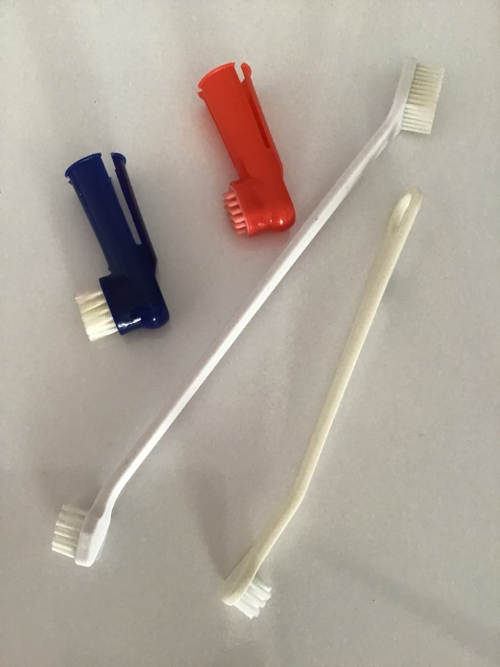 Kedi köpek ağız bakım seti, diş fırçası - Görsel 2