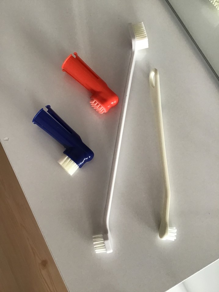 Kedi köpek ağız bakım seti, diş fırçası - Görsel 4