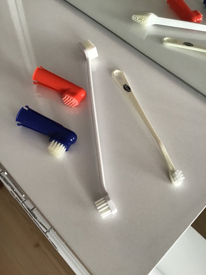 Kedi köpek ağız bakım seti, diş fırçası - Görsel 5