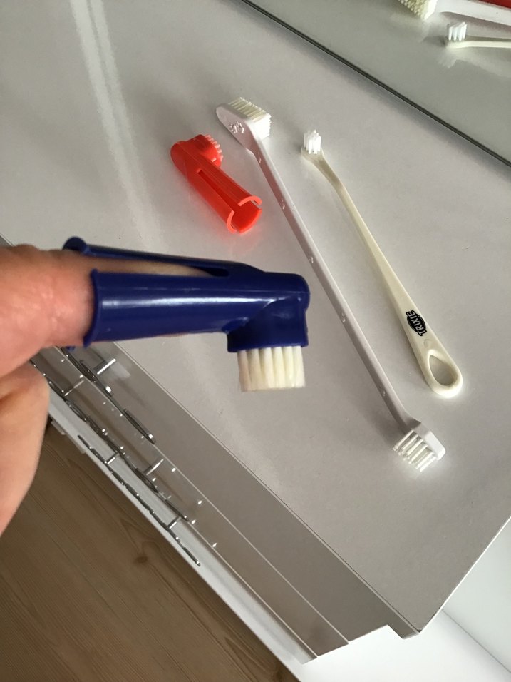 Kedi köpek ağız bakım seti, diş fırçası - Görsel 3