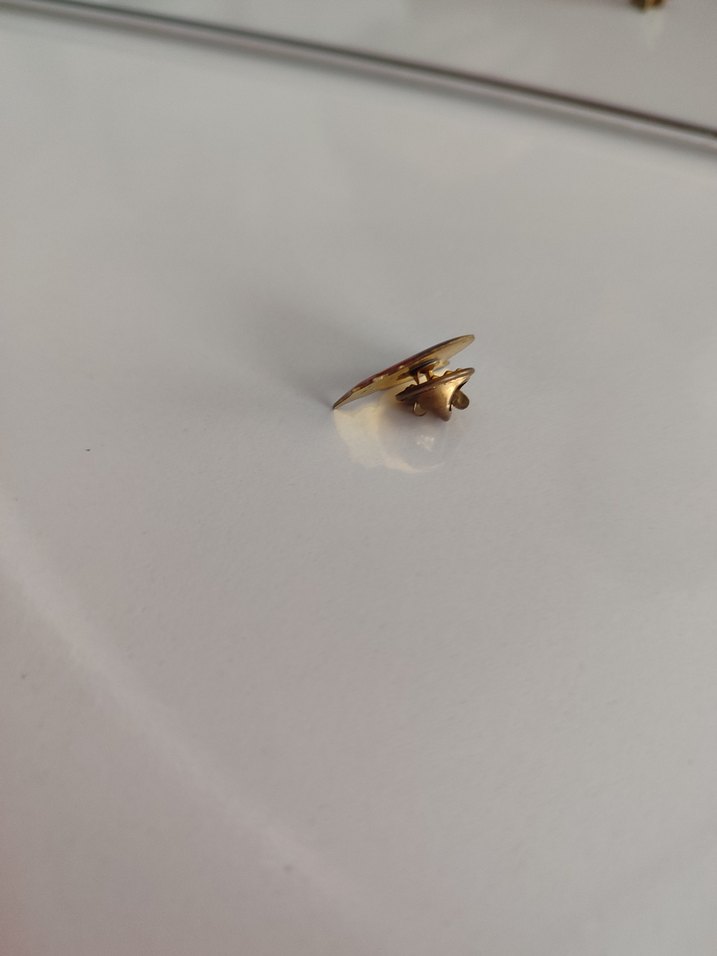 Atatürk rozeti - Görsel 4