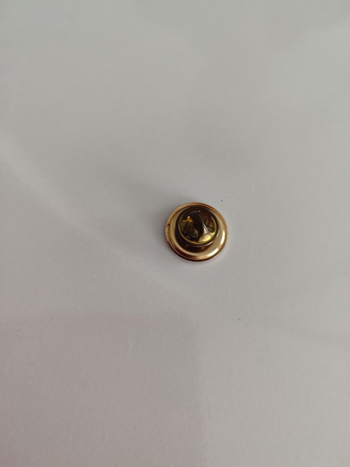 Atatürk rozeti - Görsel 5