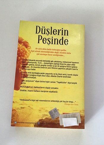 Düşlerin Peşinde roman - Görsel 2