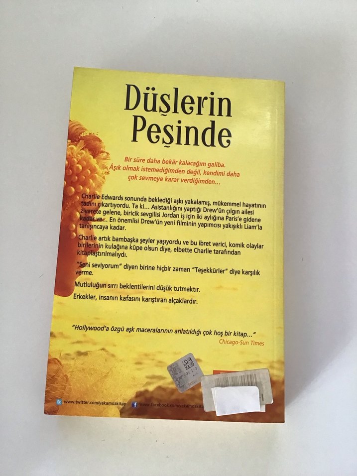 Düşlerin Peşinde roman - Görsel 2