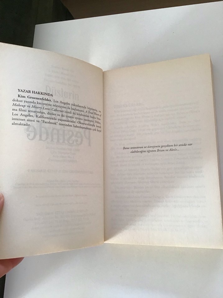 Düşlerin Peşinde roman - Görsel 4