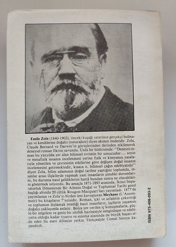 Emile Zola - Meyhane Romanı - Görsel 2