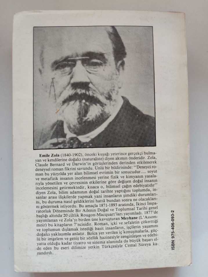 Emile Zola - Meyhane Romanı - Görsel 2