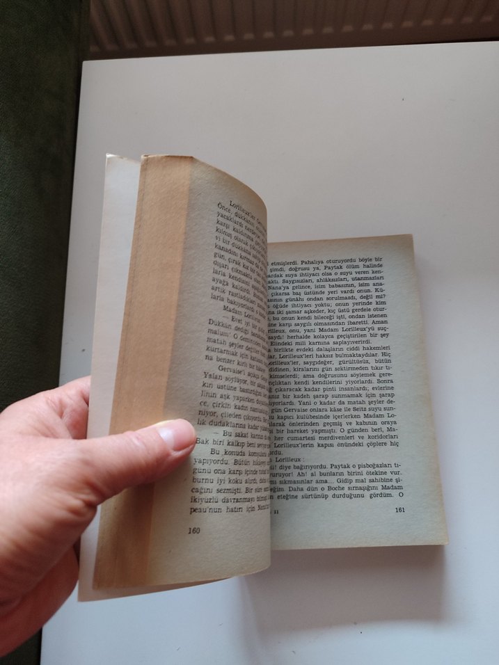 Emile Zola - Meyhane Romanı - Görsel 5