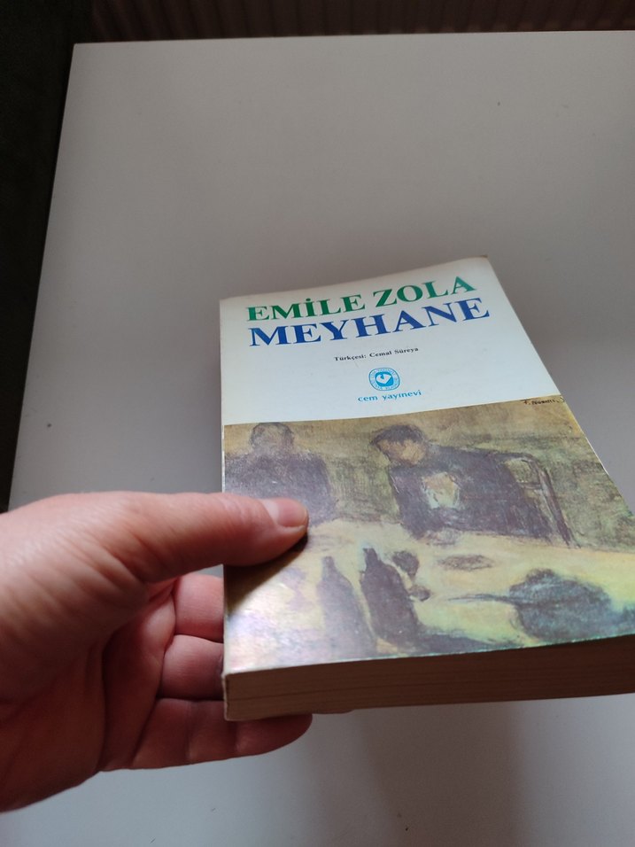 Emile Zola - Meyhane Romanı - Görsel 3