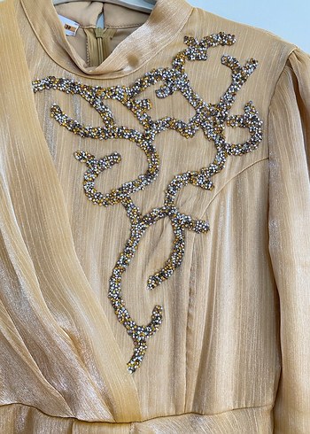 Uzun Kollu Nakışlı Bej Vintage Elbise abiye - Görsel 4