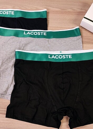 Lacoste Lacoste pamuk kutulu 3lü boxer 