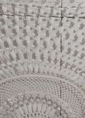 Fiskos örtüsü iki tanedir - Görsel 6