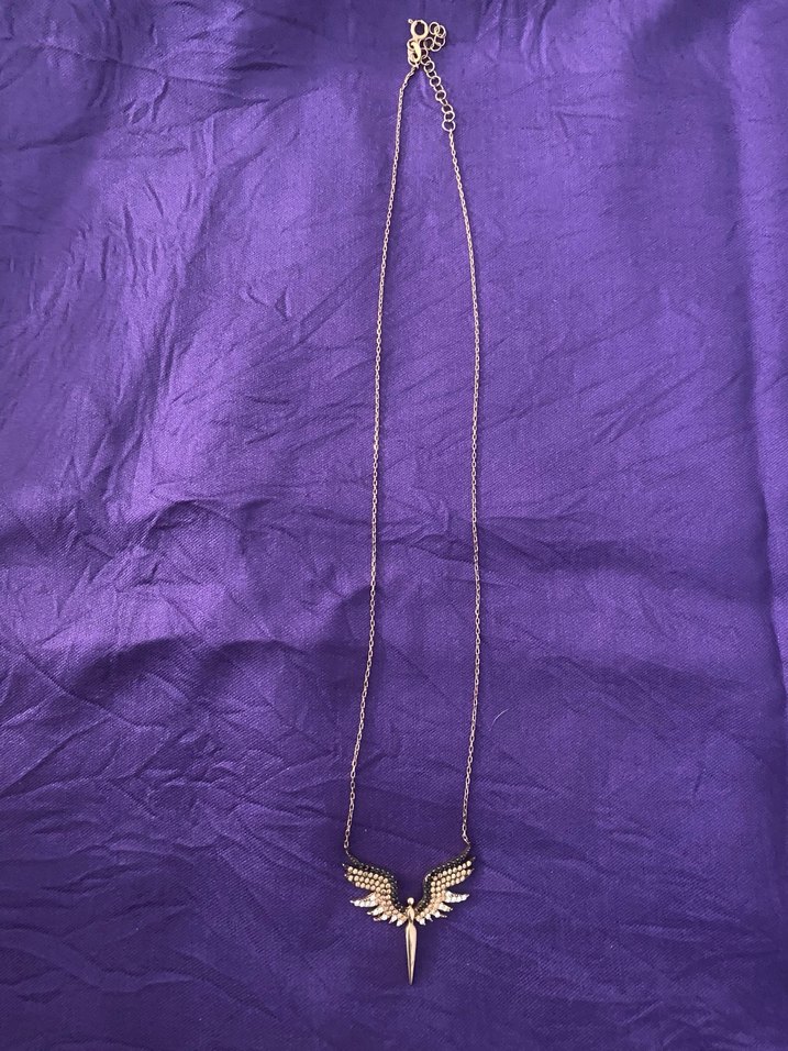 Uzun Zincirli Altın Renk Kanatlı Kolye - Görsel 3