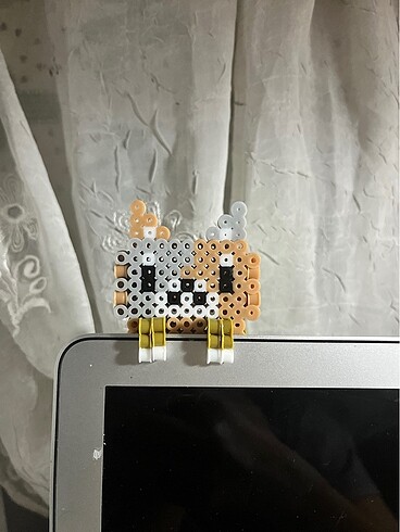 tutunan kedi