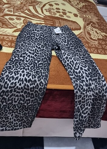Kot pantolon